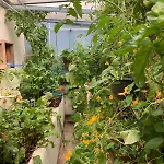 De L'oiseau Bleu Appartement Lautrec