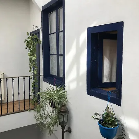 Apartment De L'oiseau Bleu Lautrec